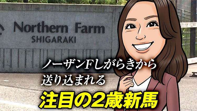 【土新潟5R】先週絶好調のノーザンFしがらきが送り込む注目馬!調教師も「ウチの○○の中で一番」と大絶賛!