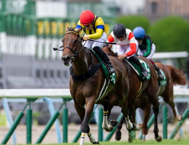 アンドラステ