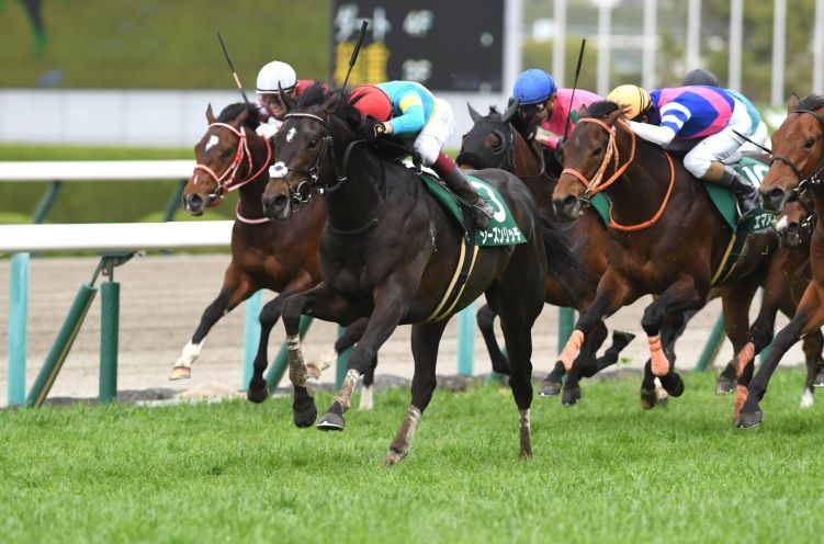 【シン・極秘リポート】“人が走らす師走競馬”に突入!各厩舎の勝負気配を見逃すな! 競馬HOTLINE 競馬関係者情報で予想するならシンクタンク