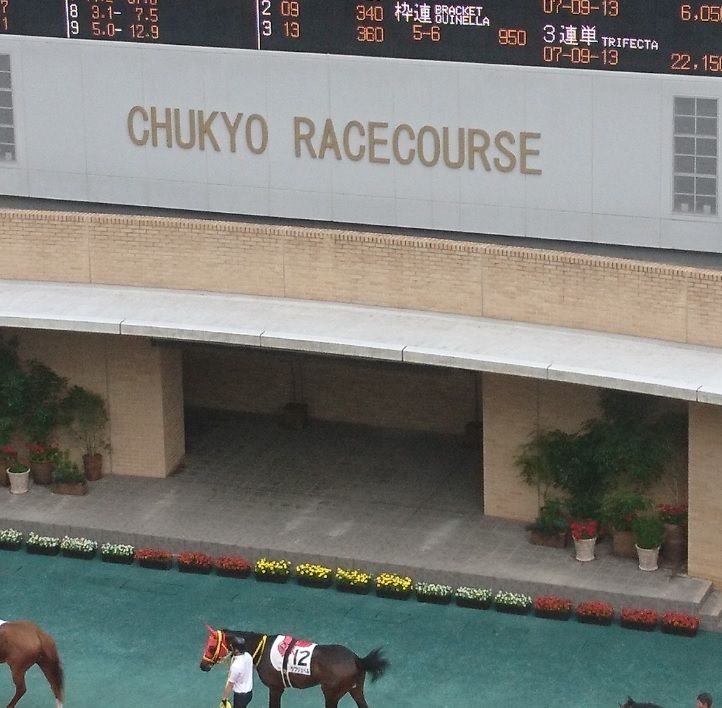 中京競馬場