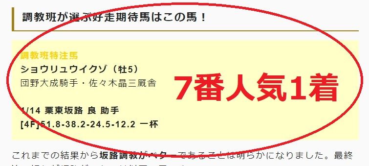 日経新春杯推奨