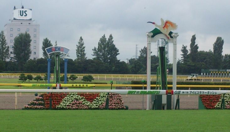 新潟競馬場