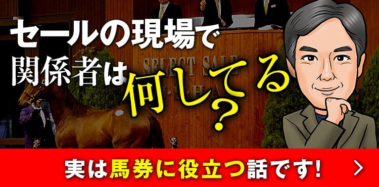 【セレクトセール2025】いよいよ開催！今さら聞けないことから、行かないとわからないことまでご紹介！