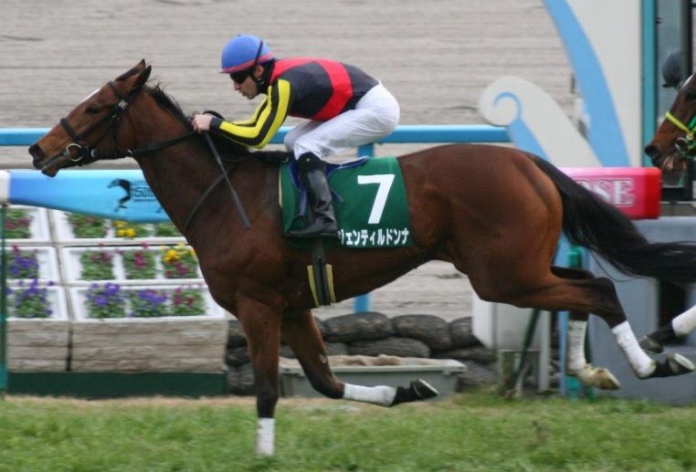 2012シンザン記念