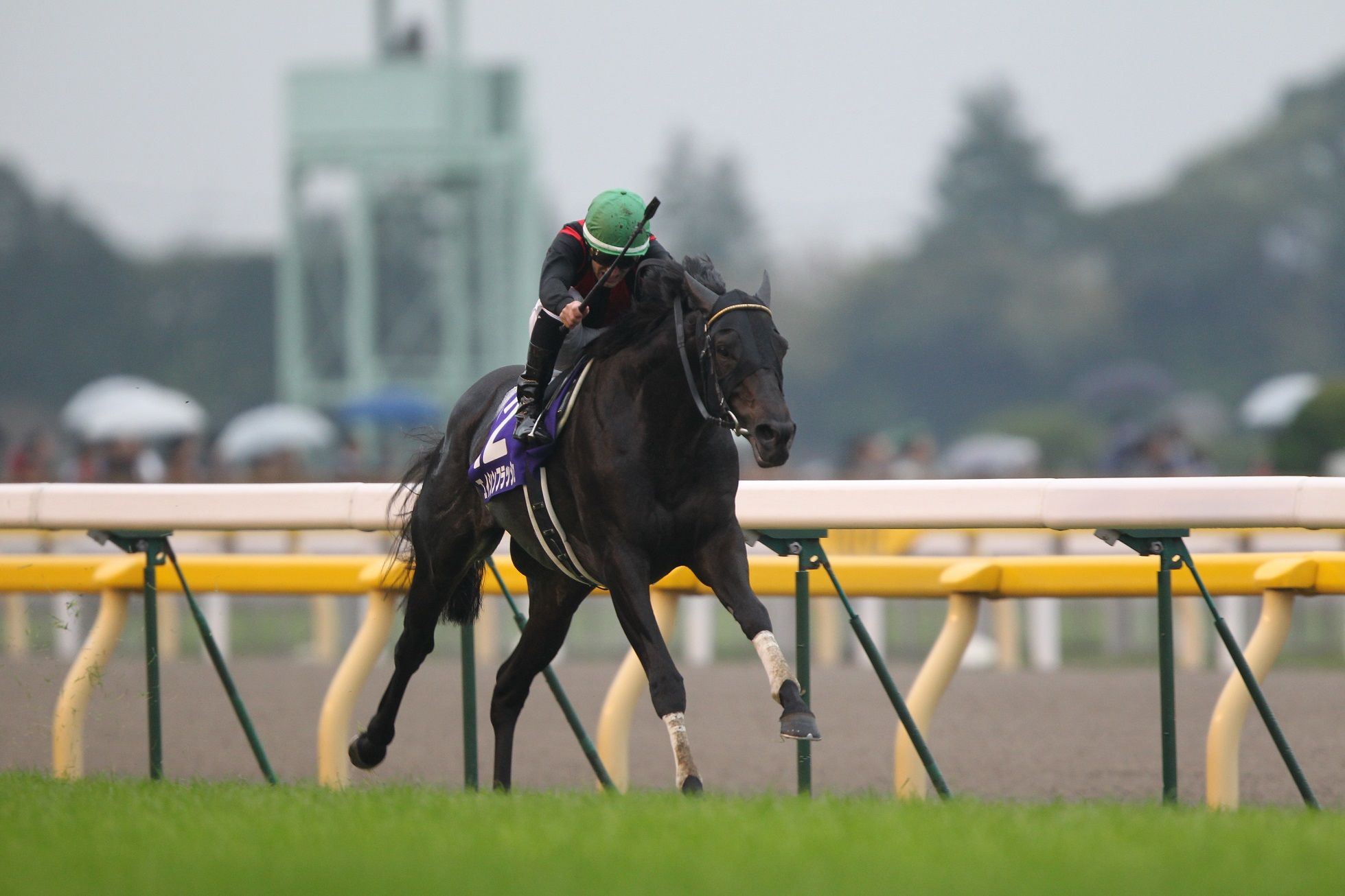 2012天皇賞秋