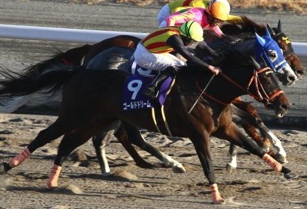 2017チャンピオンズC