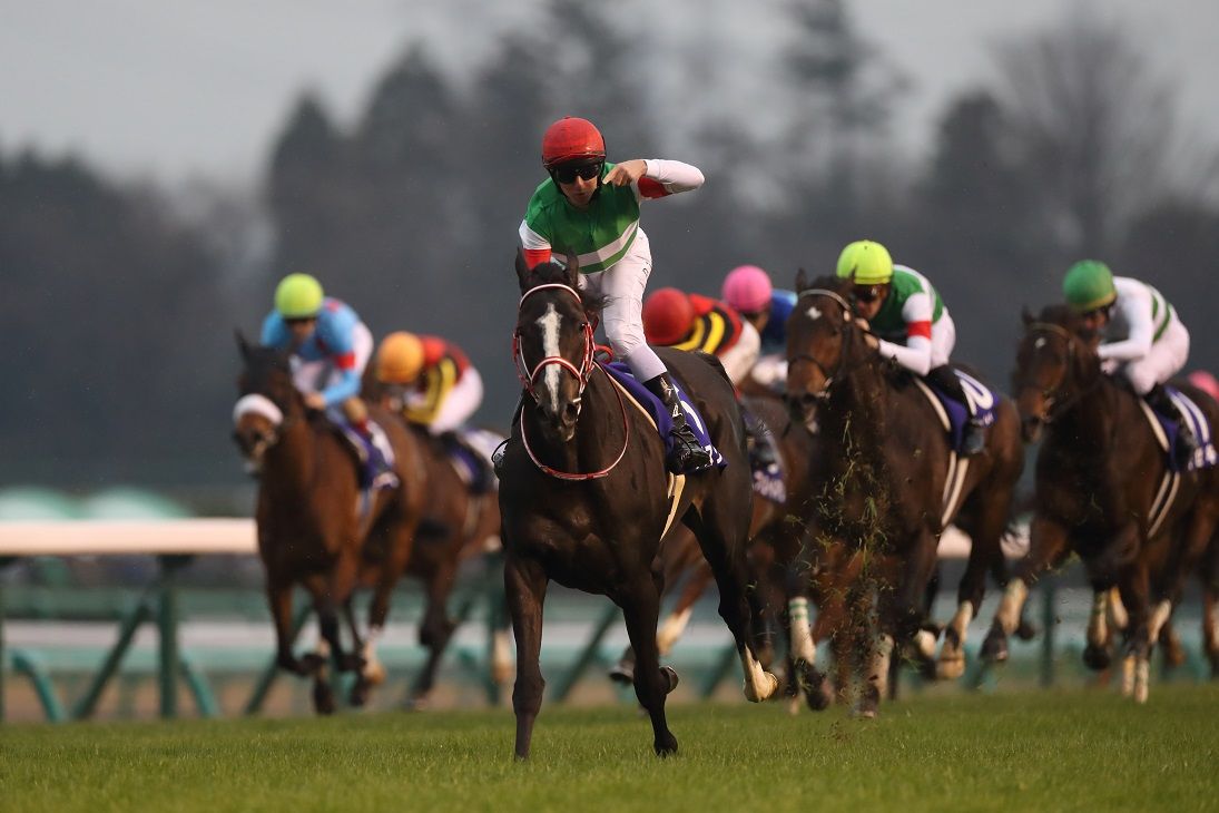 2019有馬記念