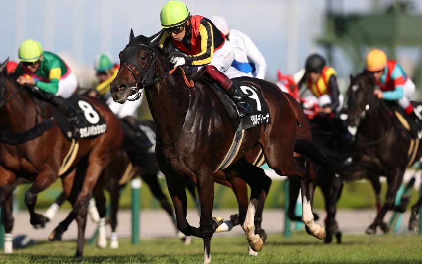 ジェラルディーナ