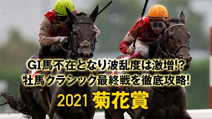 【菊花賞2021】近3年はあの生産牧場の独壇場!?牧場サイドが注目するのはこの馬!